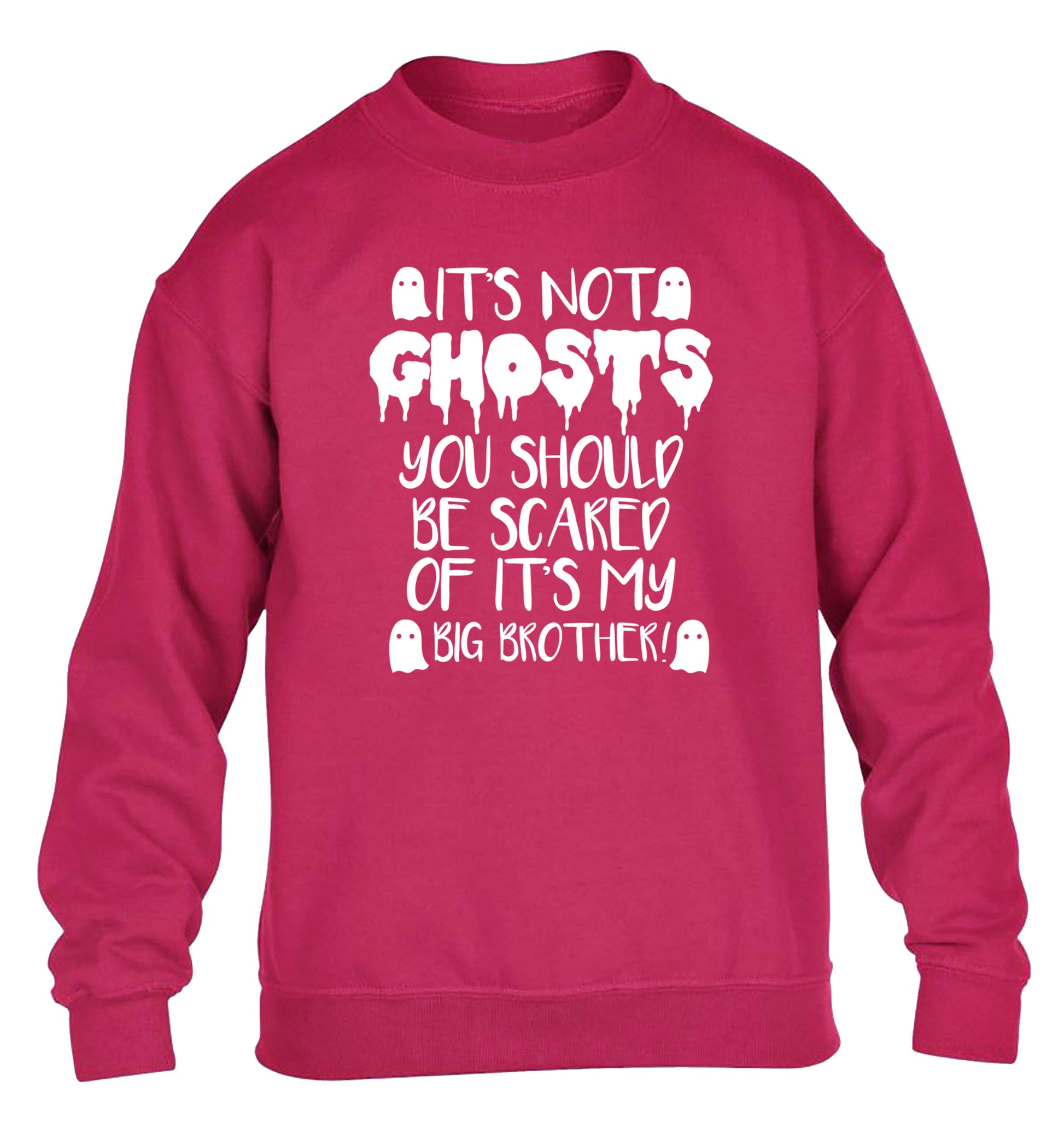 It's not ghosts you should be scared of it's my big sister! children's pink sweater 12-14 Years