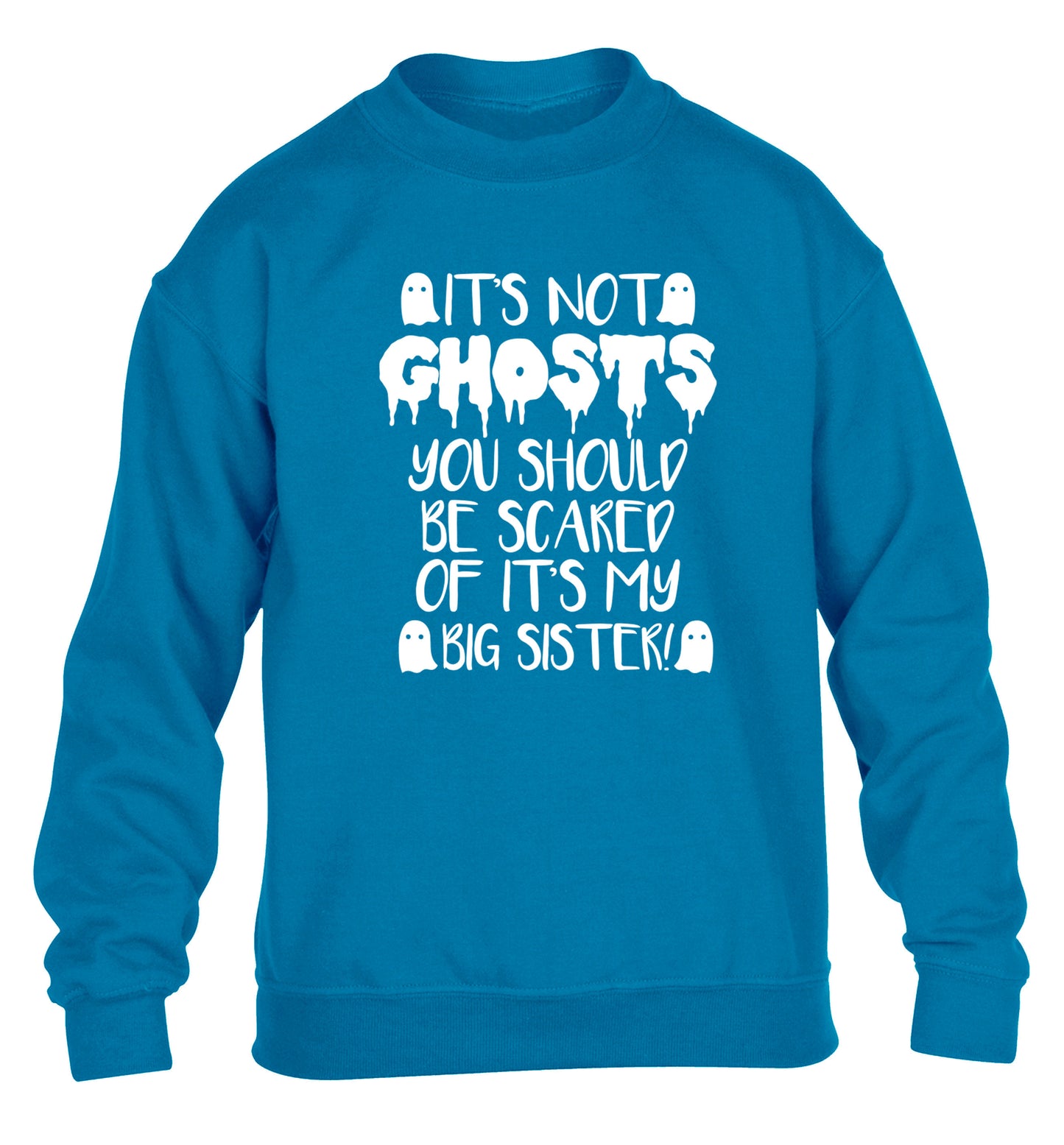 It's not ghosts you should be scared of it's my big brother! children's blue sweater 12-14 Years