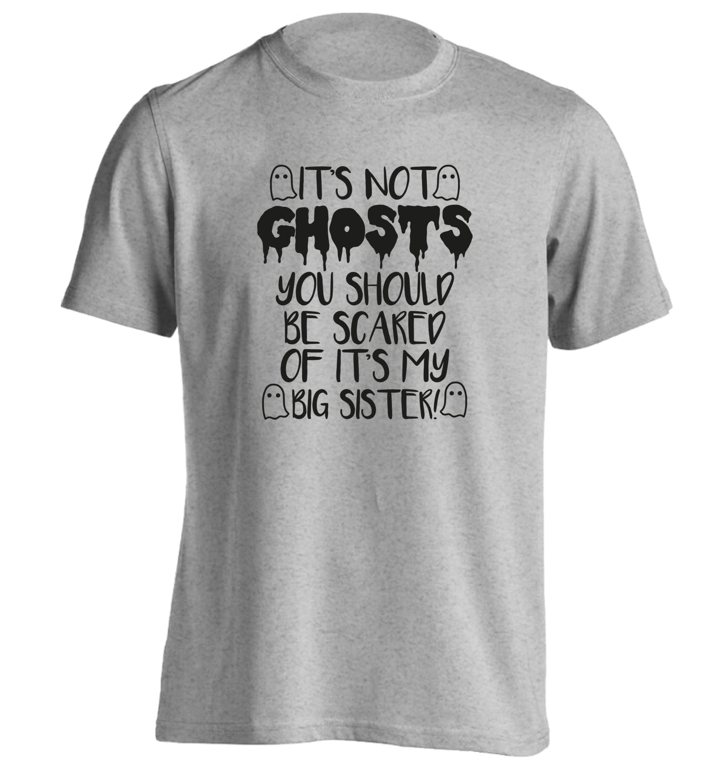 It's not ghosts you should be scared of it's my big brother! adults unisex grey Tshirt 2XL