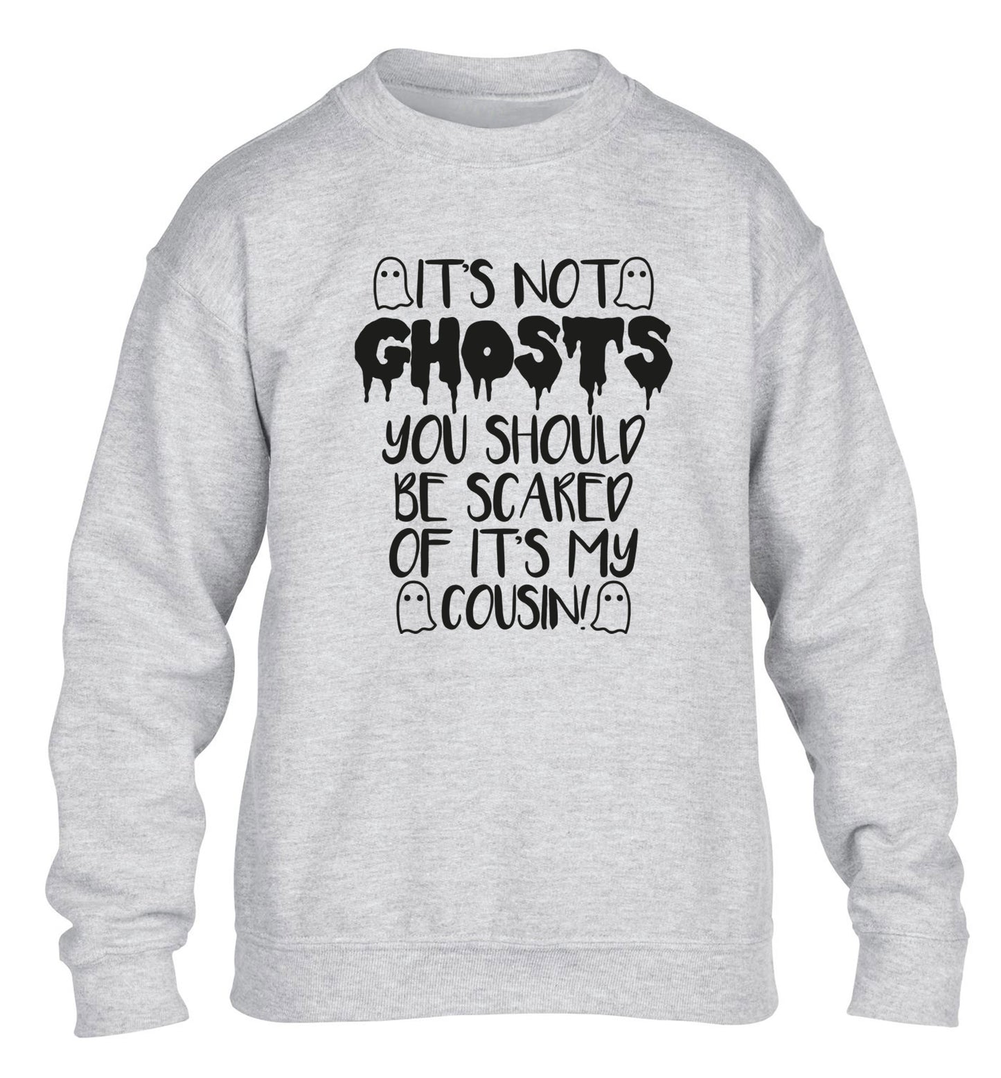 It's not ghosts you should be scared of it's my cousin! children's grey sweater 12-14 Years