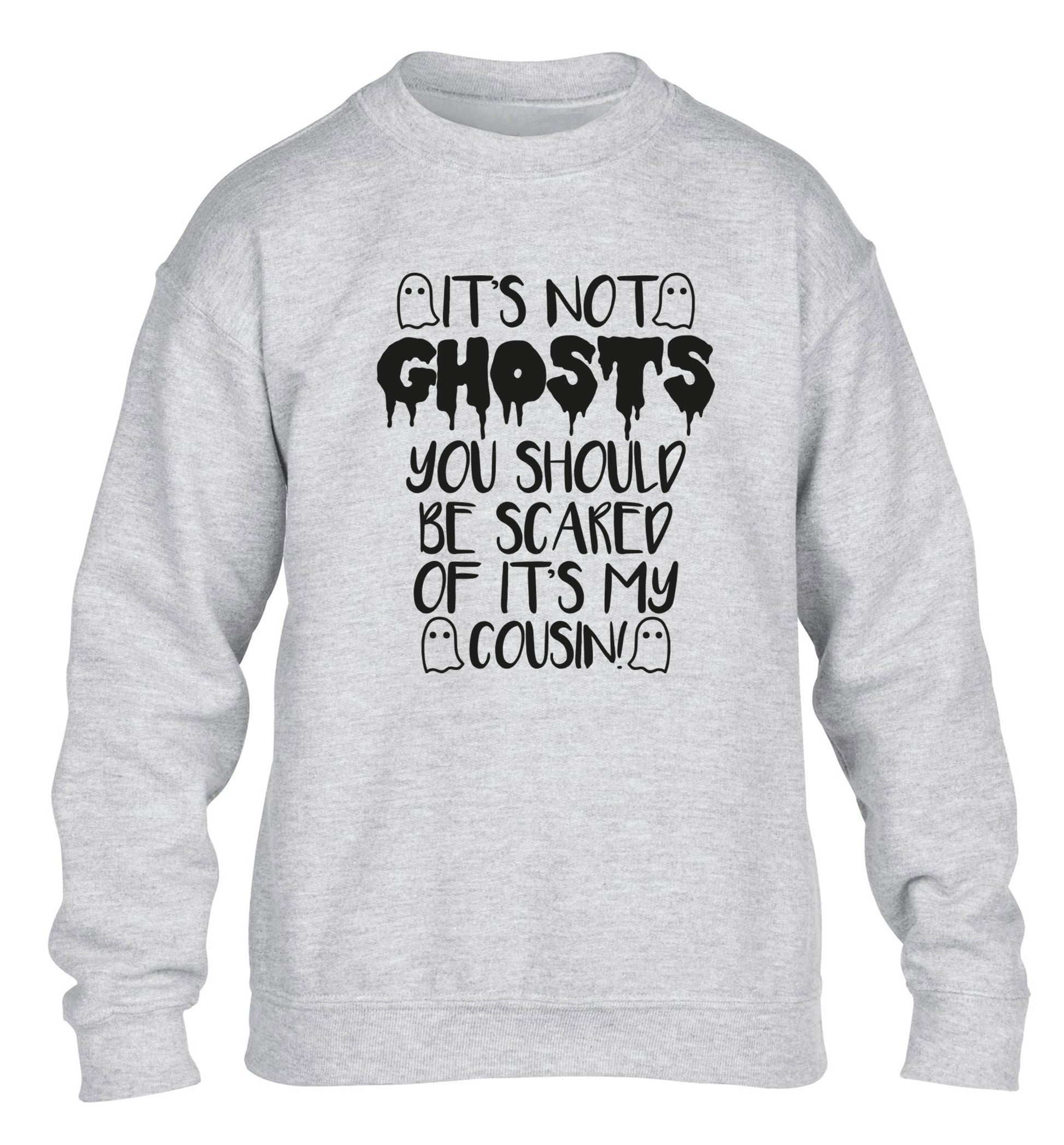 It's not ghosts you should be scared of it's my cousin! children's grey sweater 12-14 Years