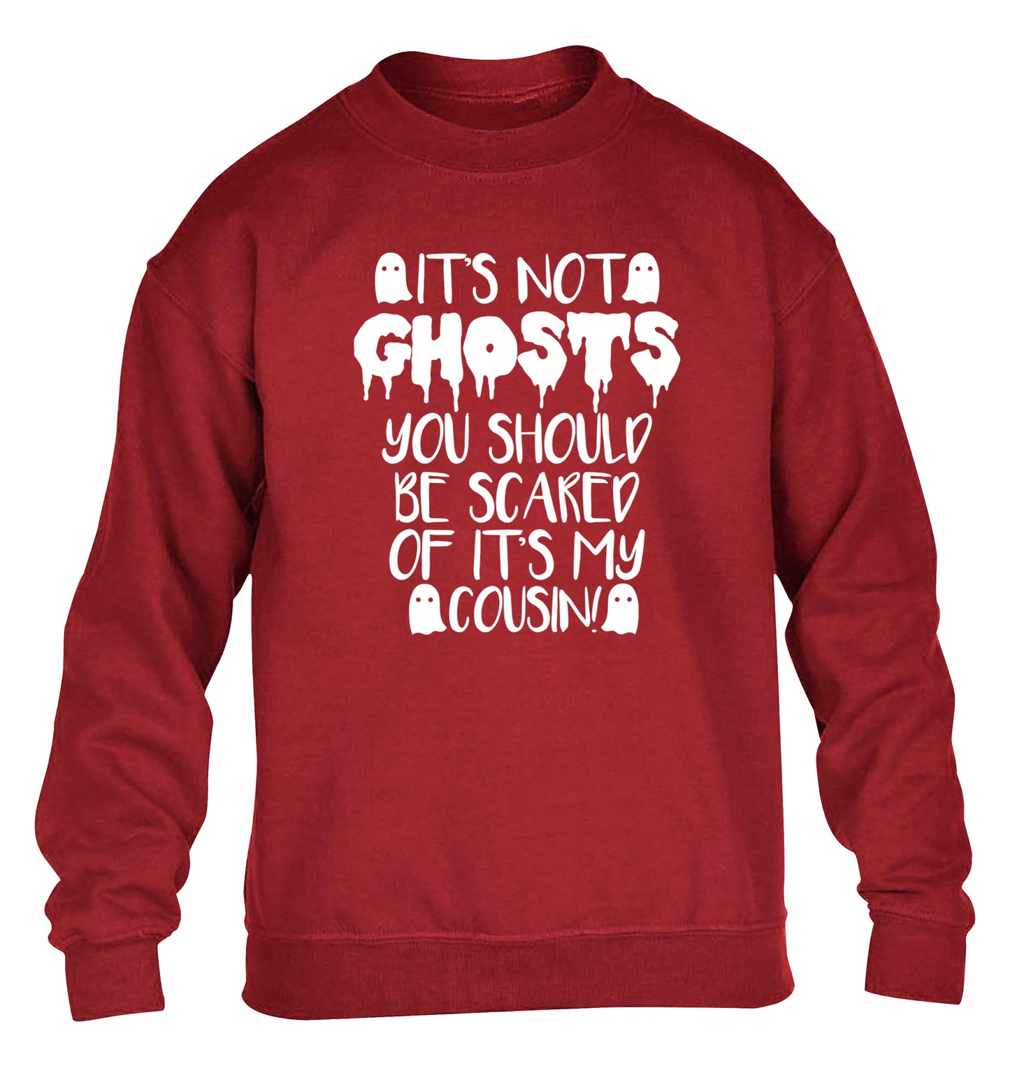 It's not ghosts you should be scared of it's my cousin! children's grey sweater 12-14 Years