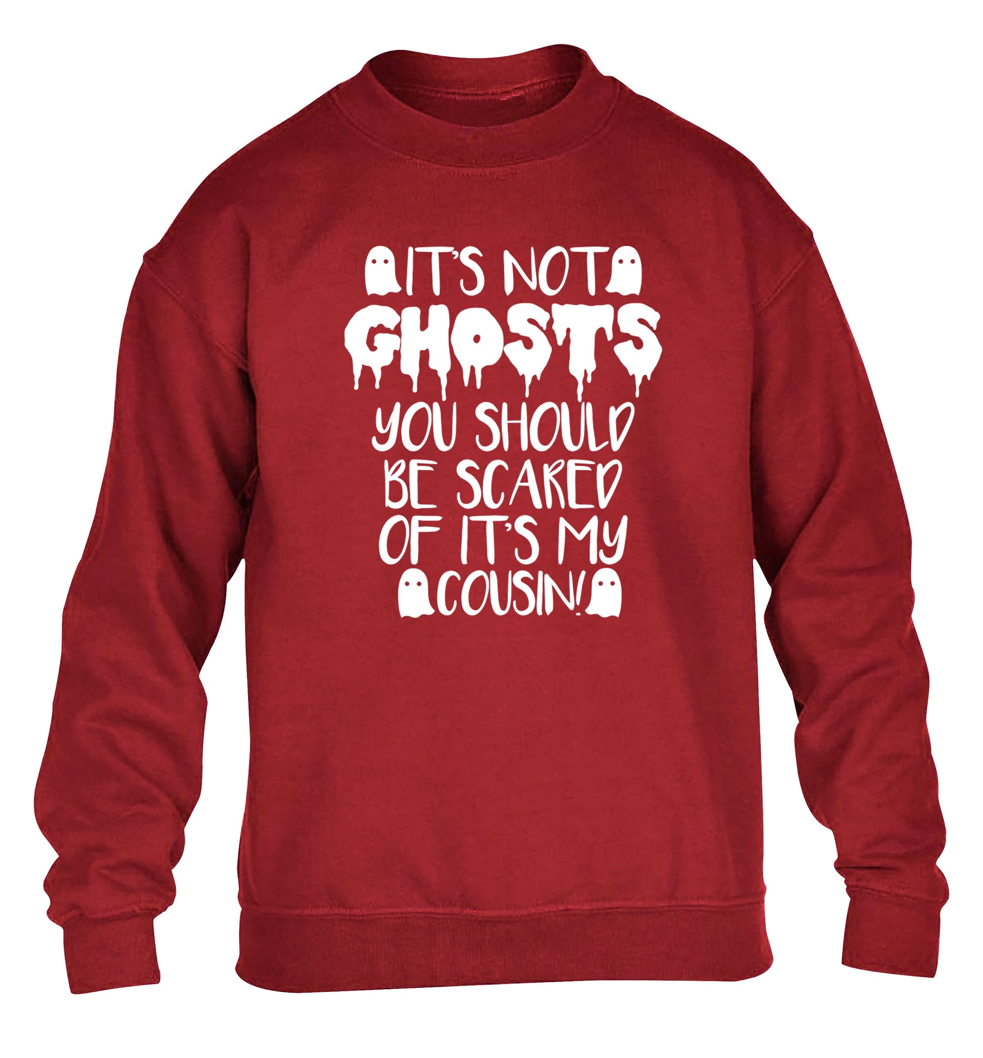 It's not ghosts you should be scared of it's my cousin! children's grey sweater 12-14 Years