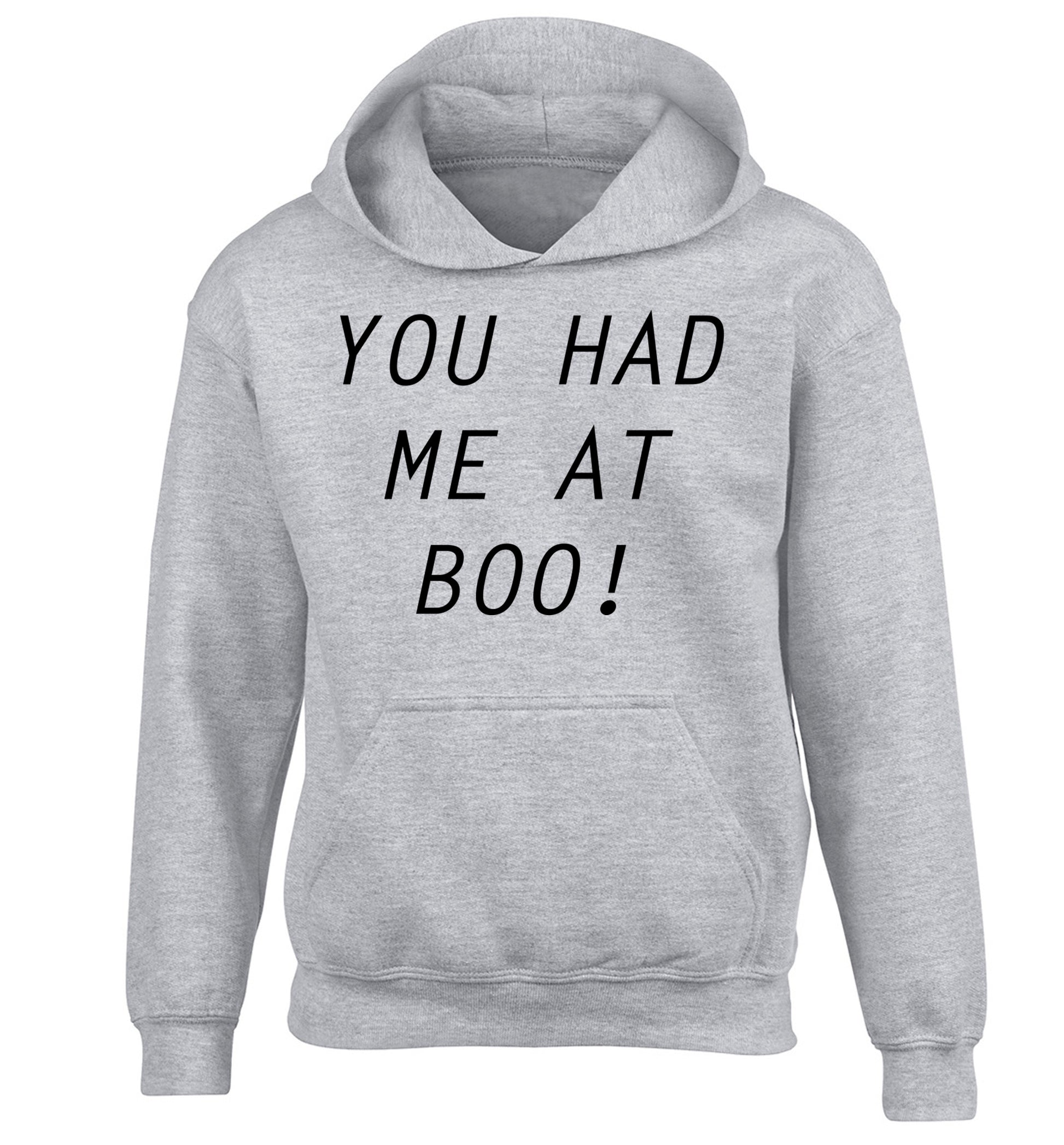 You had me at boo! children's grey hoodie 12-14 Years