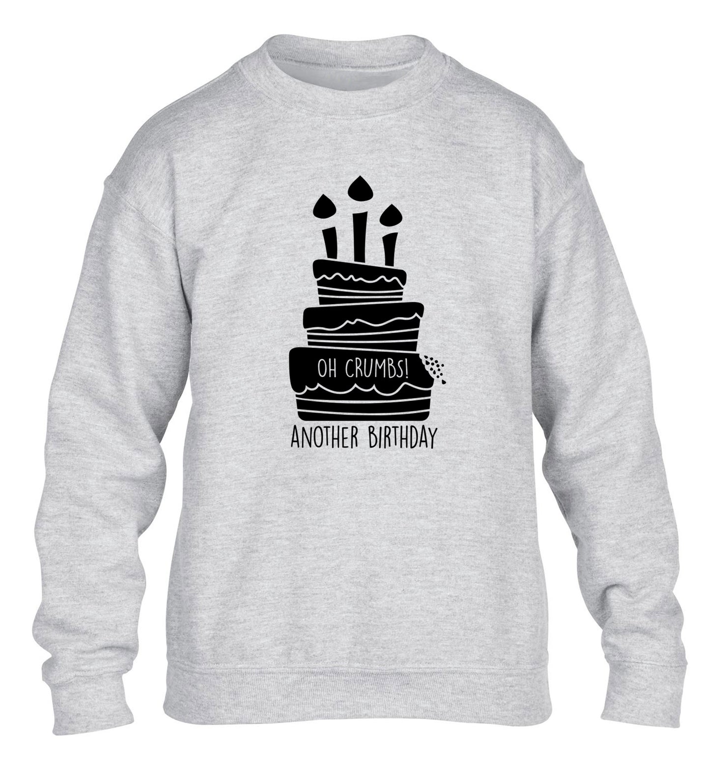 Oh crumbs another birthday! children's grey sweater 12-14 Years