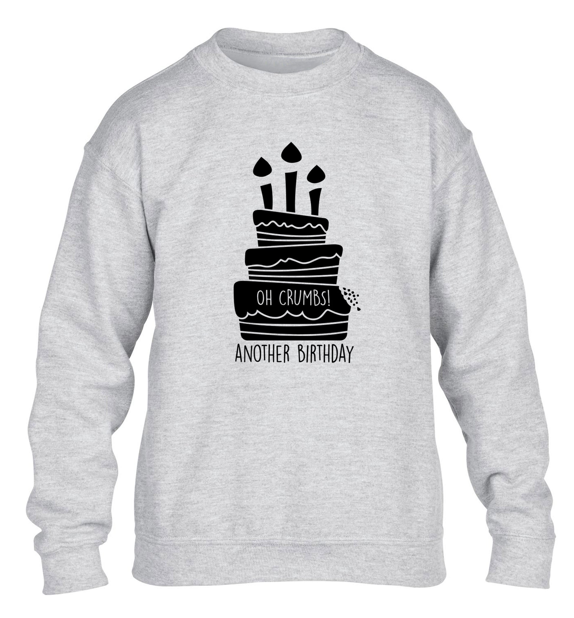 Oh crumbs another birthday! children's grey sweater 12-14 Years