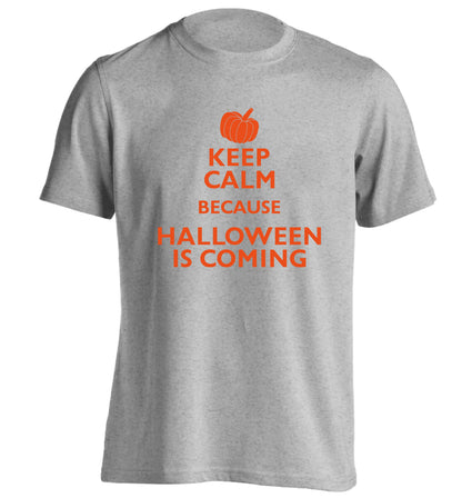 Keep calm because halloween is coming adults unisex grey Tshirt 2XL