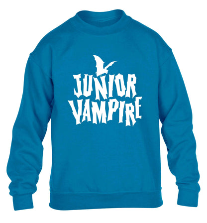 Junior vampire children's blue sweater 12-13 Years
