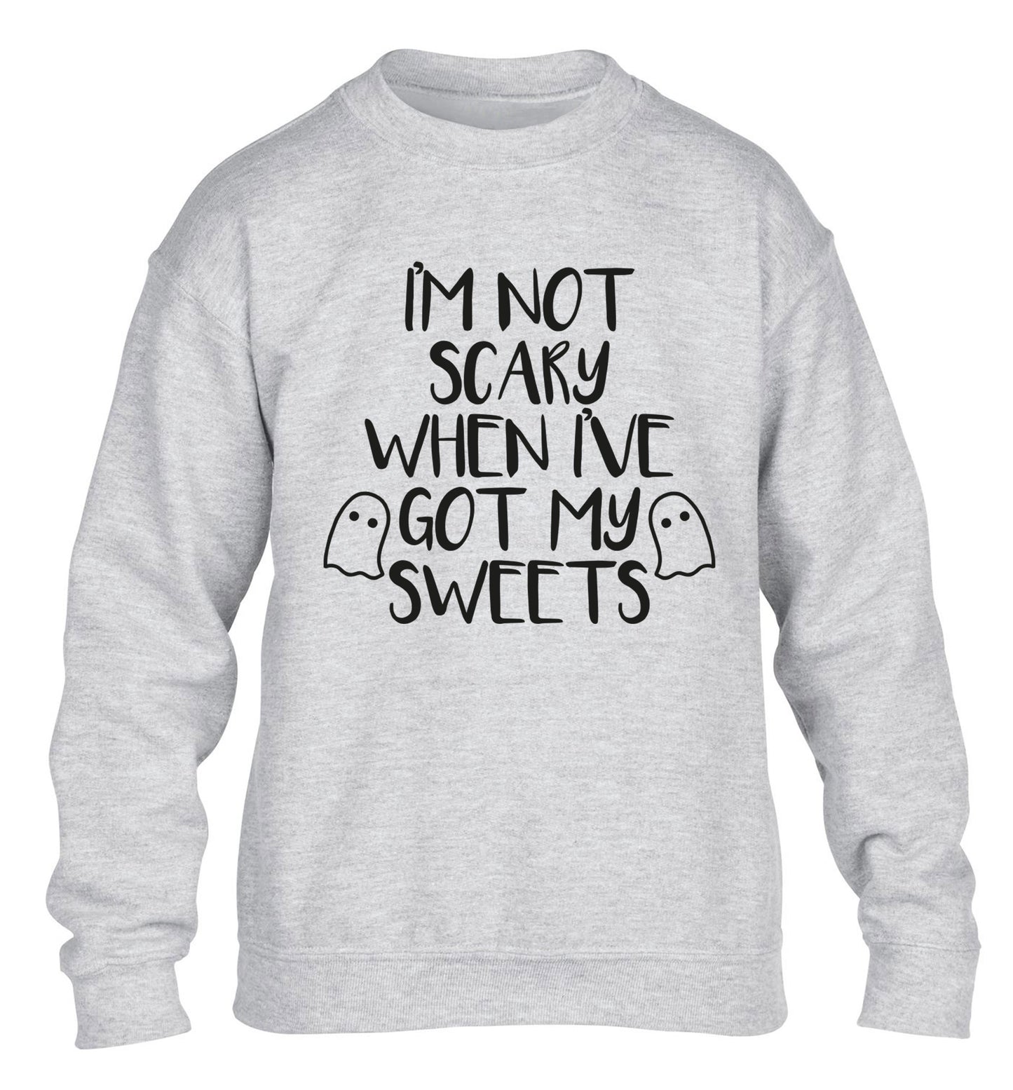 I'm not scary when I've got my sweets children's grey sweater 12-14 Years