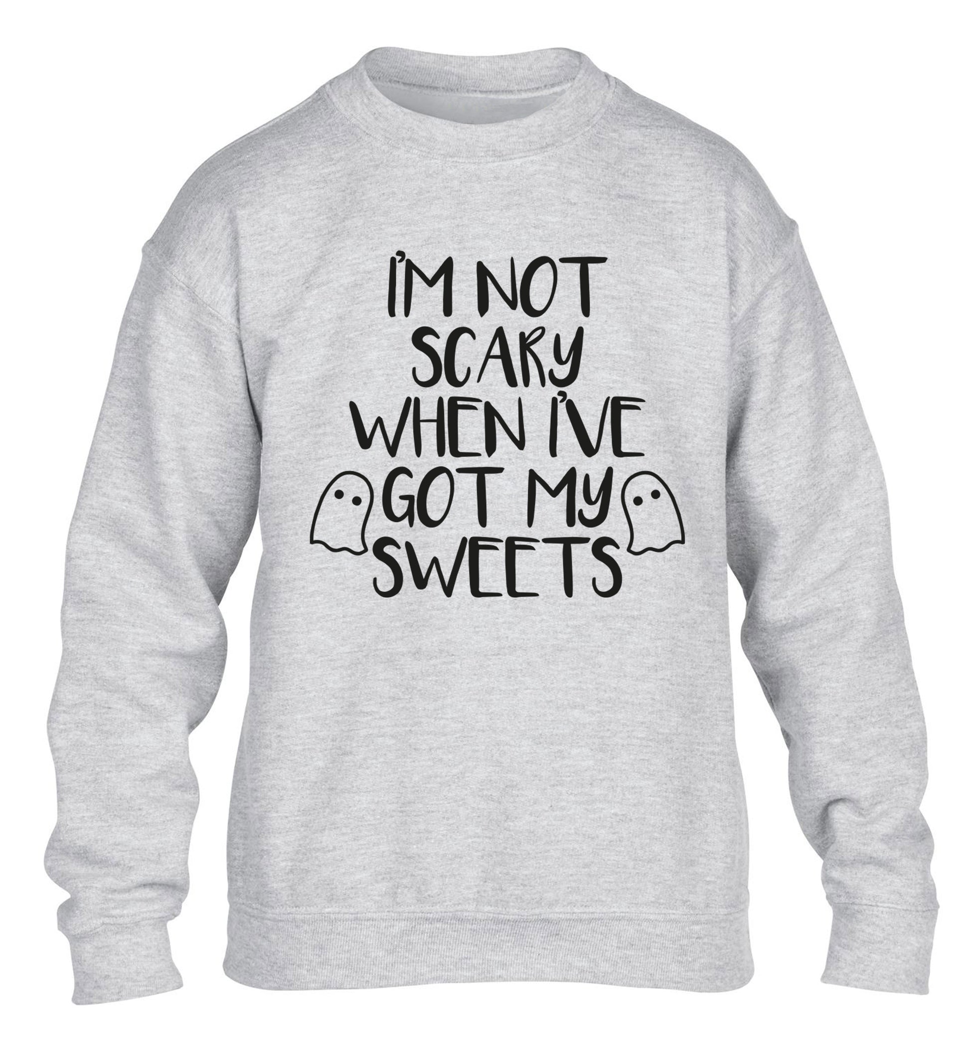 I'm not scary when I've got my sweets children's grey sweater 12-14 Years