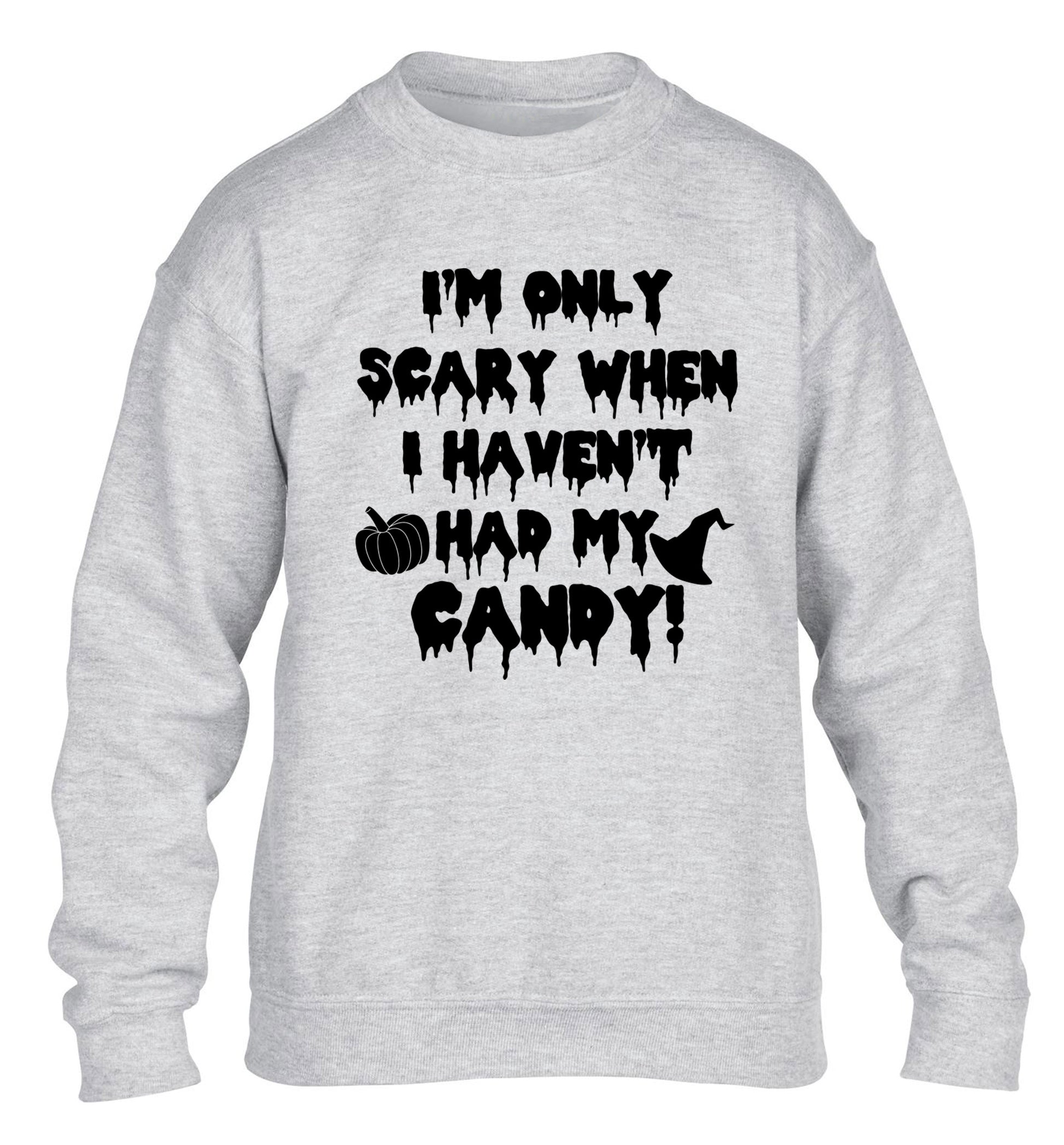 I'm only scary when I haven't got my candy children's grey sweater 12-14 Years