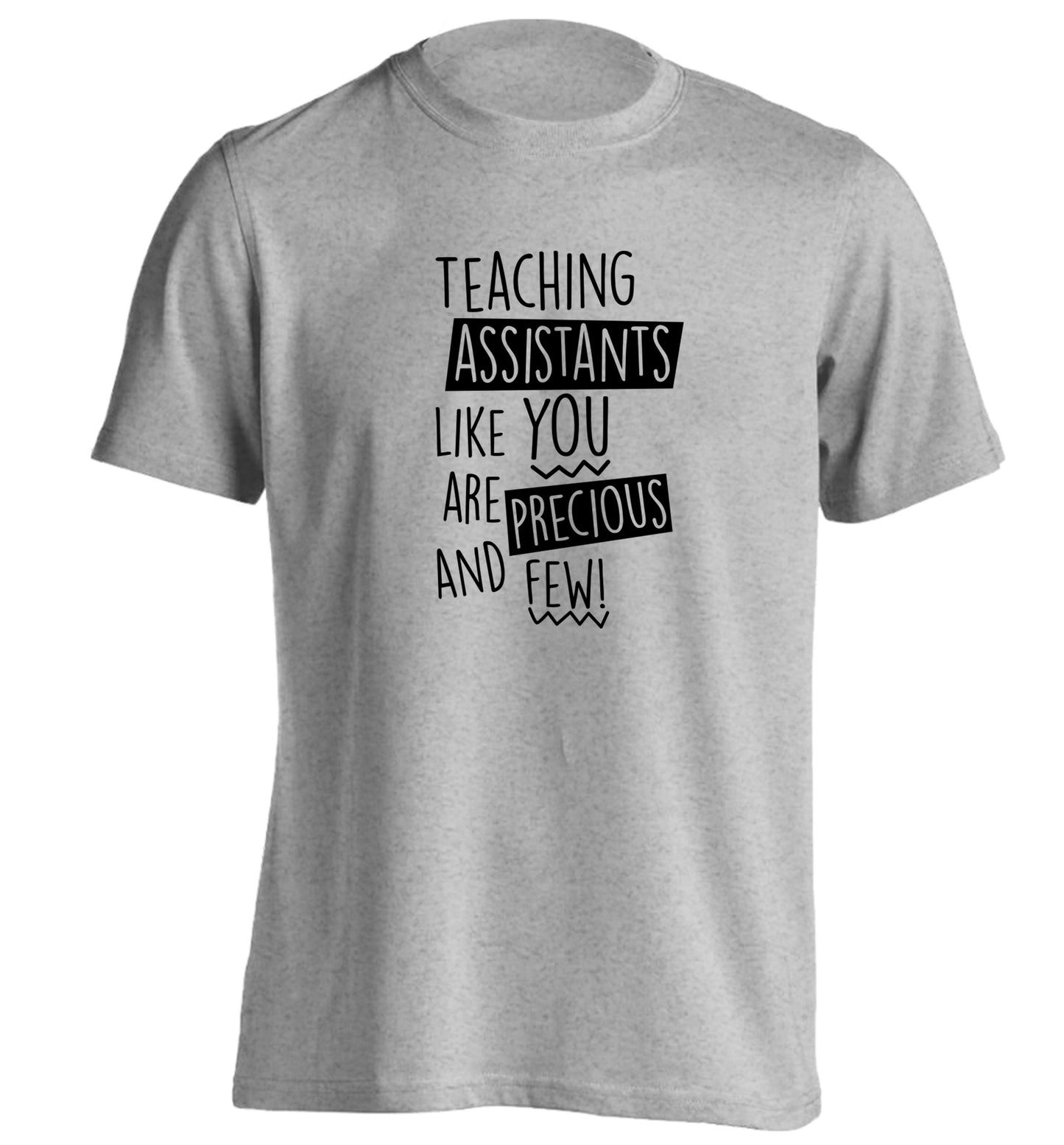 Teaching assistants like you are previous and few! adults unisex grey Tshirt 2XL