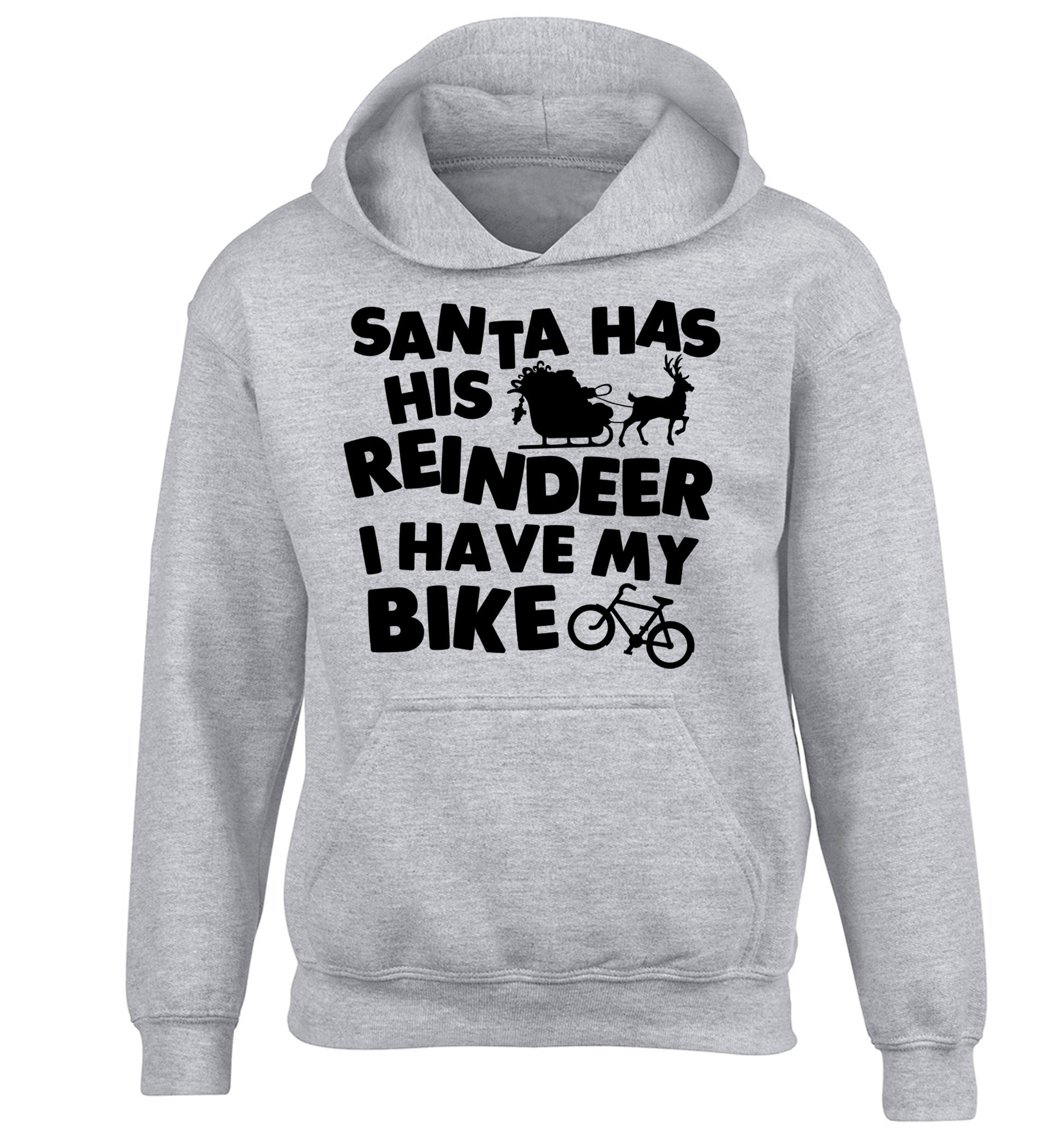 Santa has his reindeer I have my bike children's grey hoodie 12-14 Years