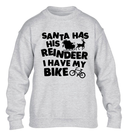 Santa has his reindeer I have my bike children's grey sweater 12-14 Years