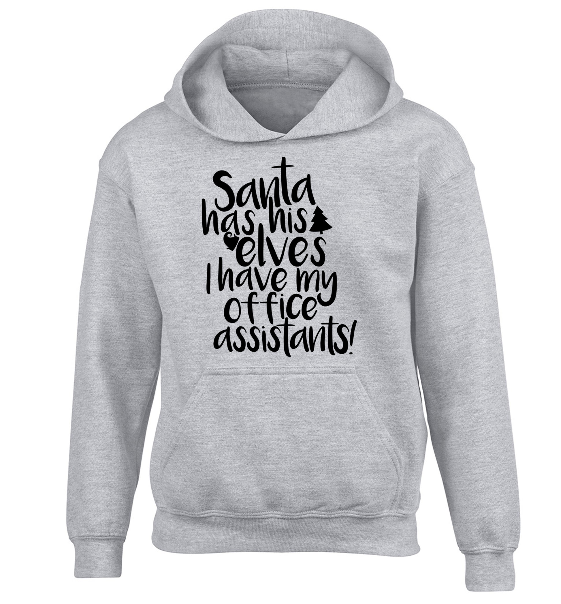 Santa has elves I have office assistants children's grey hoodie 12-13 Years