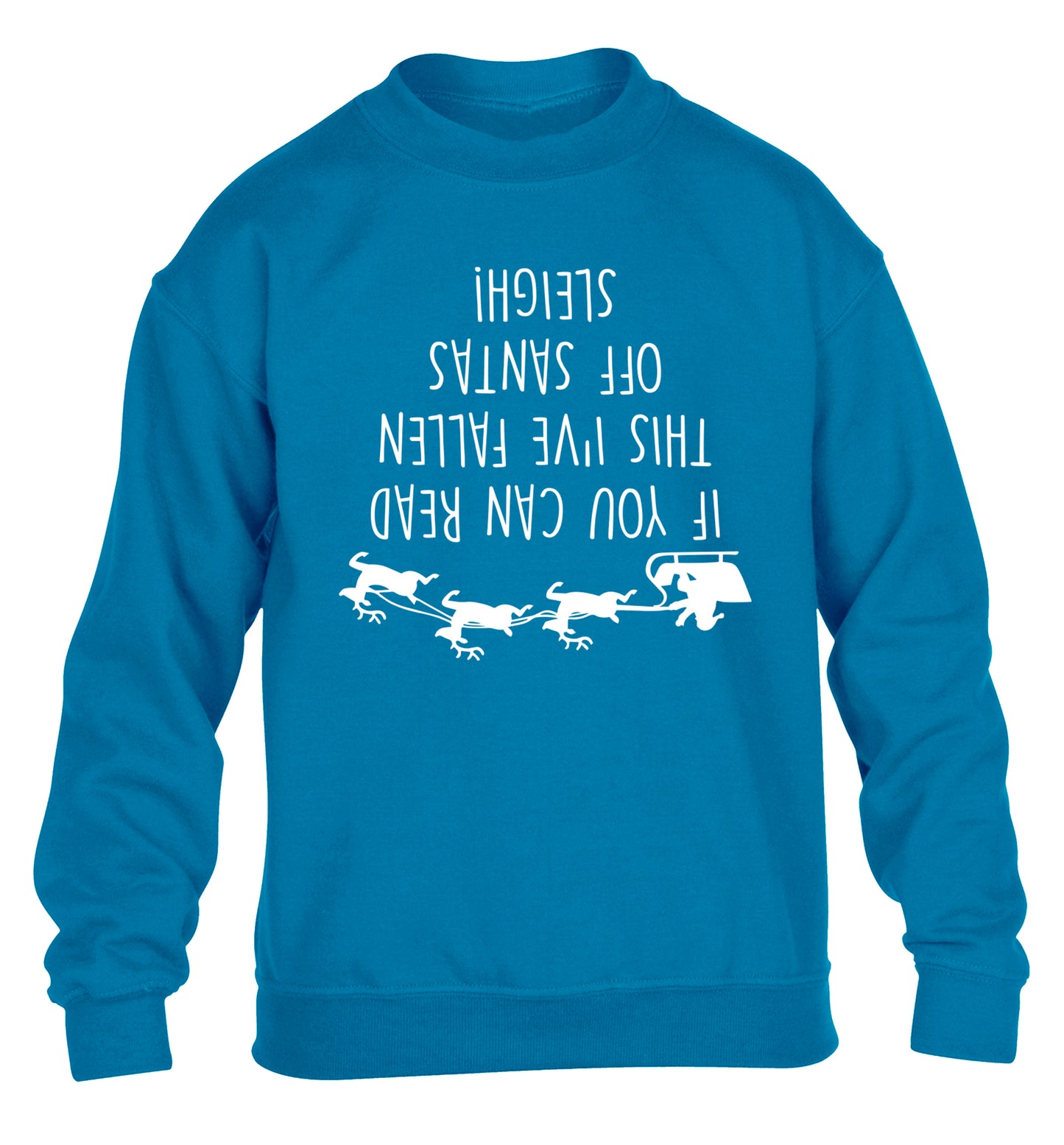 If you can read this I've fallen of santa's sleigh! children's blue sweater 12-14 Years