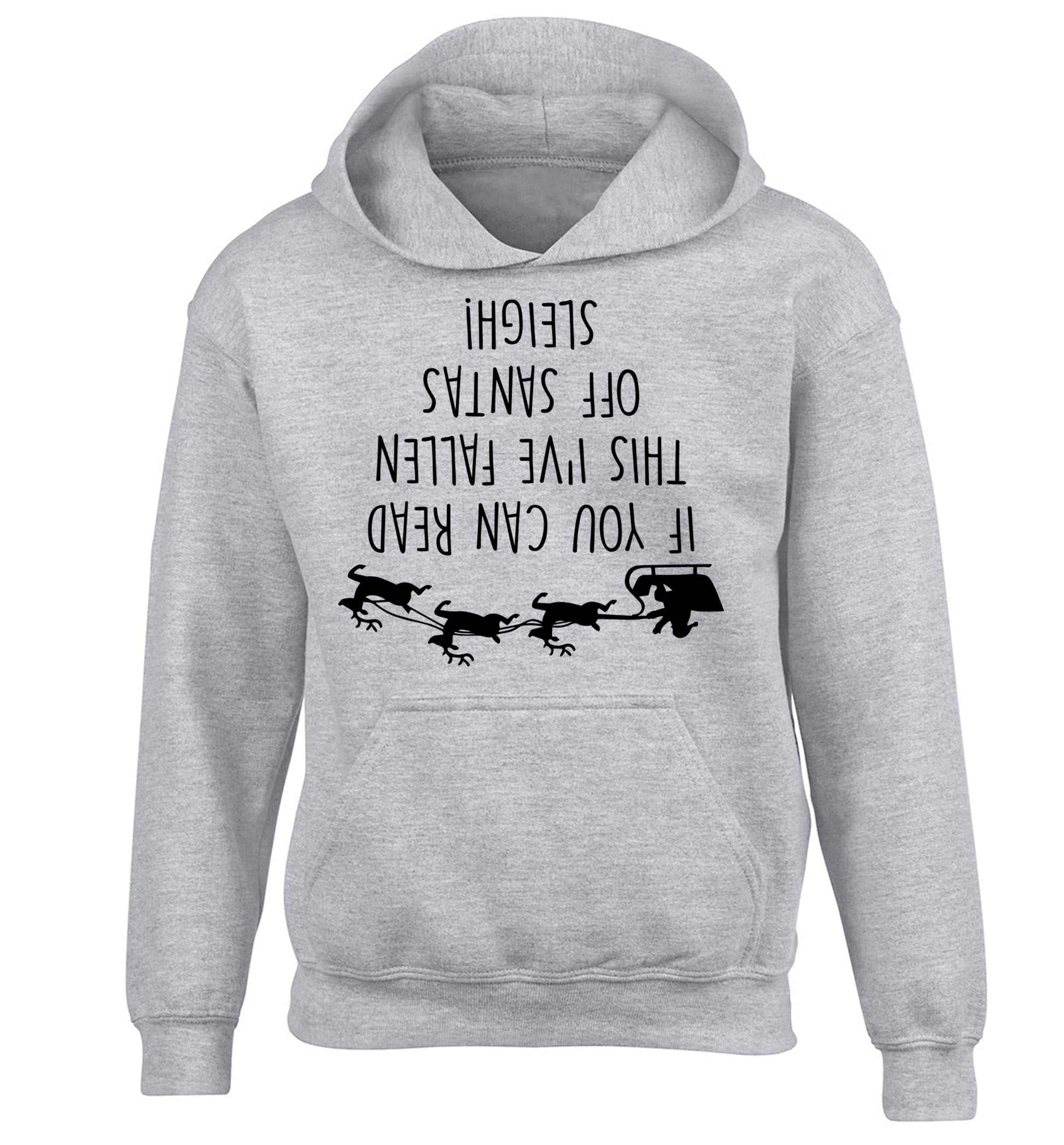 If you can read this I've fallen of santa's sleigh! children's grey hoodie 12-14 Years