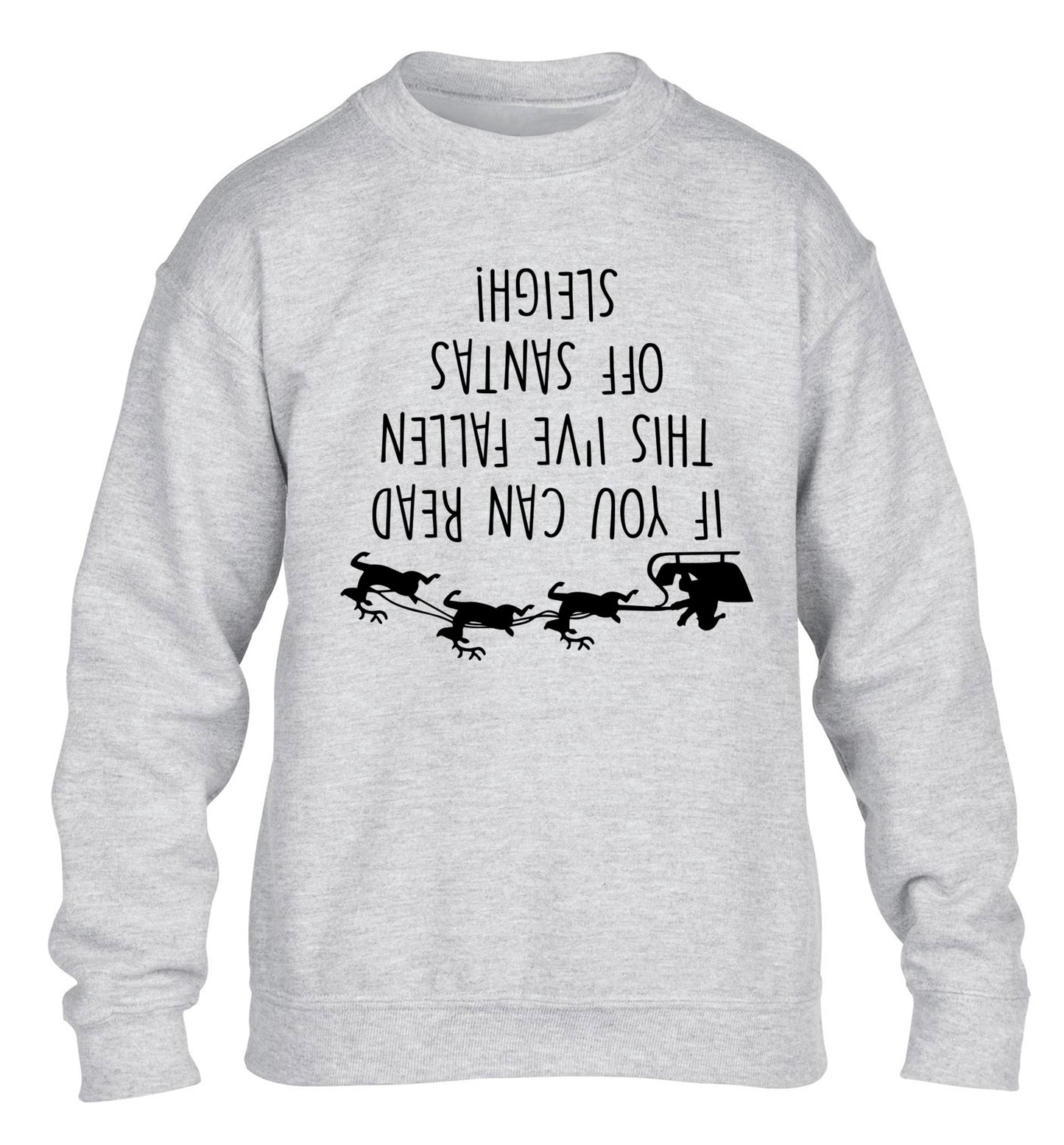 If you can read this I've fallen of santa's sleigh! children's grey sweater 12-14 Years