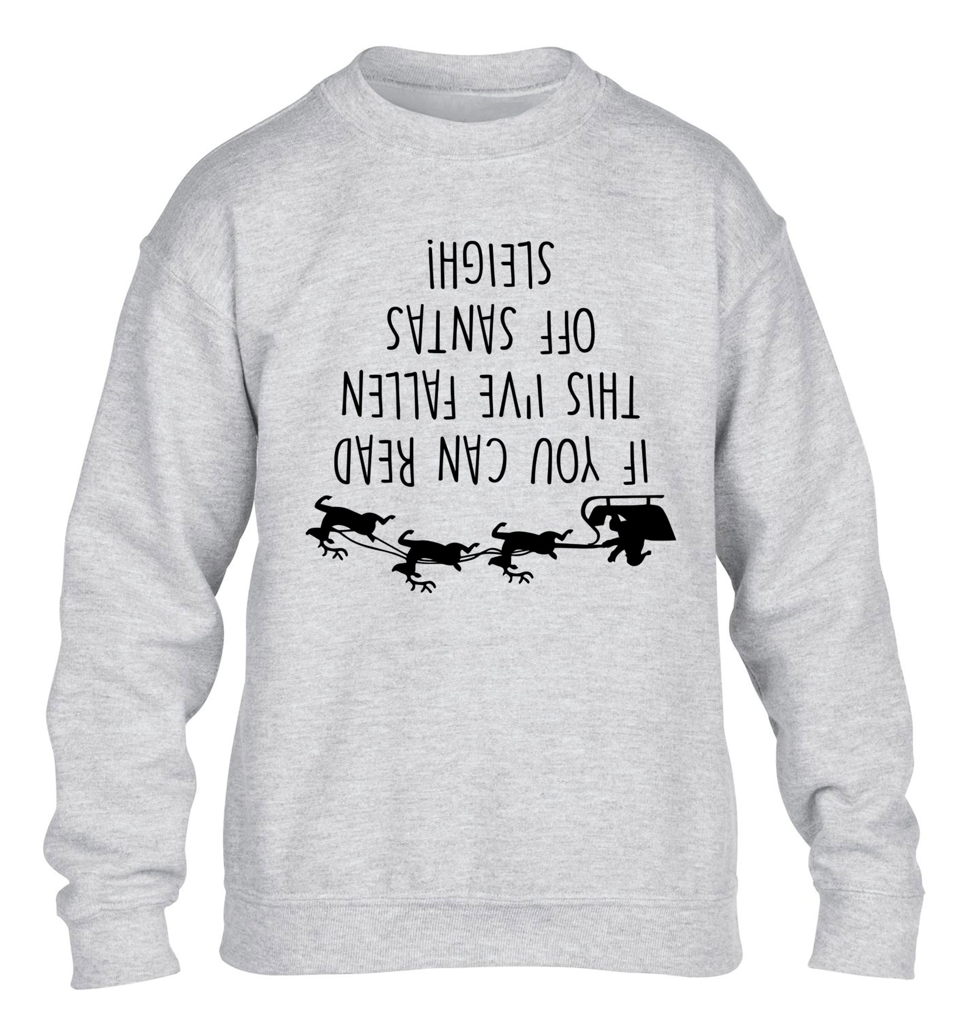 If you can read this I've fallen of santa's sleigh! children's grey sweater 12-14 Years