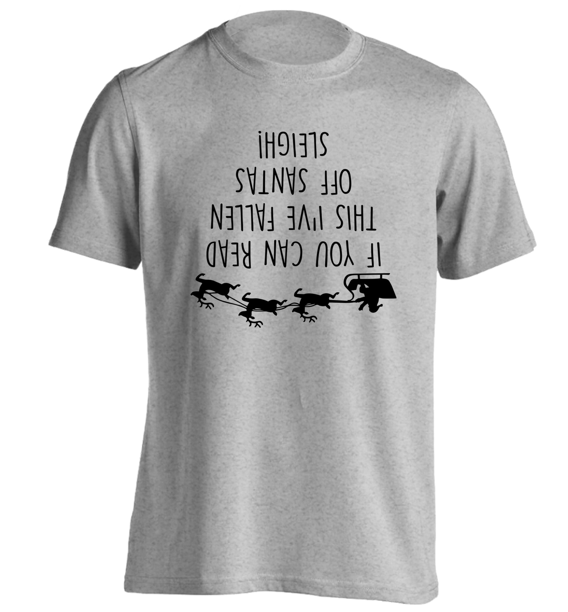 If you can read this I've fallen of santa's sleigh! adults unisex grey Tshirt 2XL