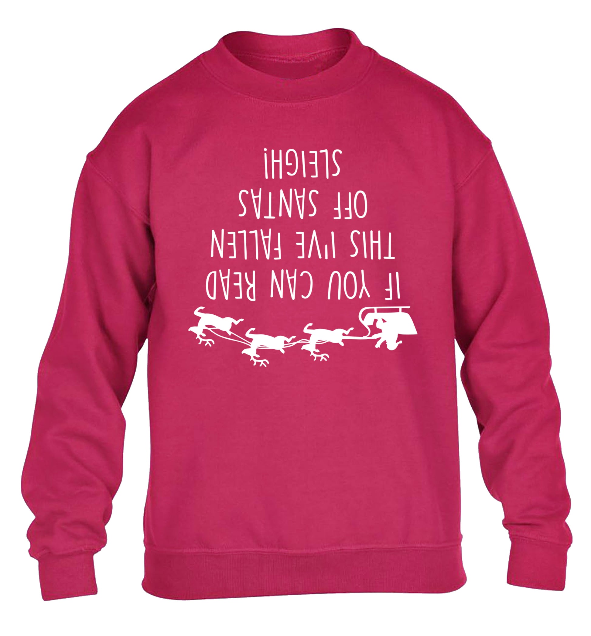 If you can read this I've fallen of santa's sleigh! children's pink sweater 12-14 Years