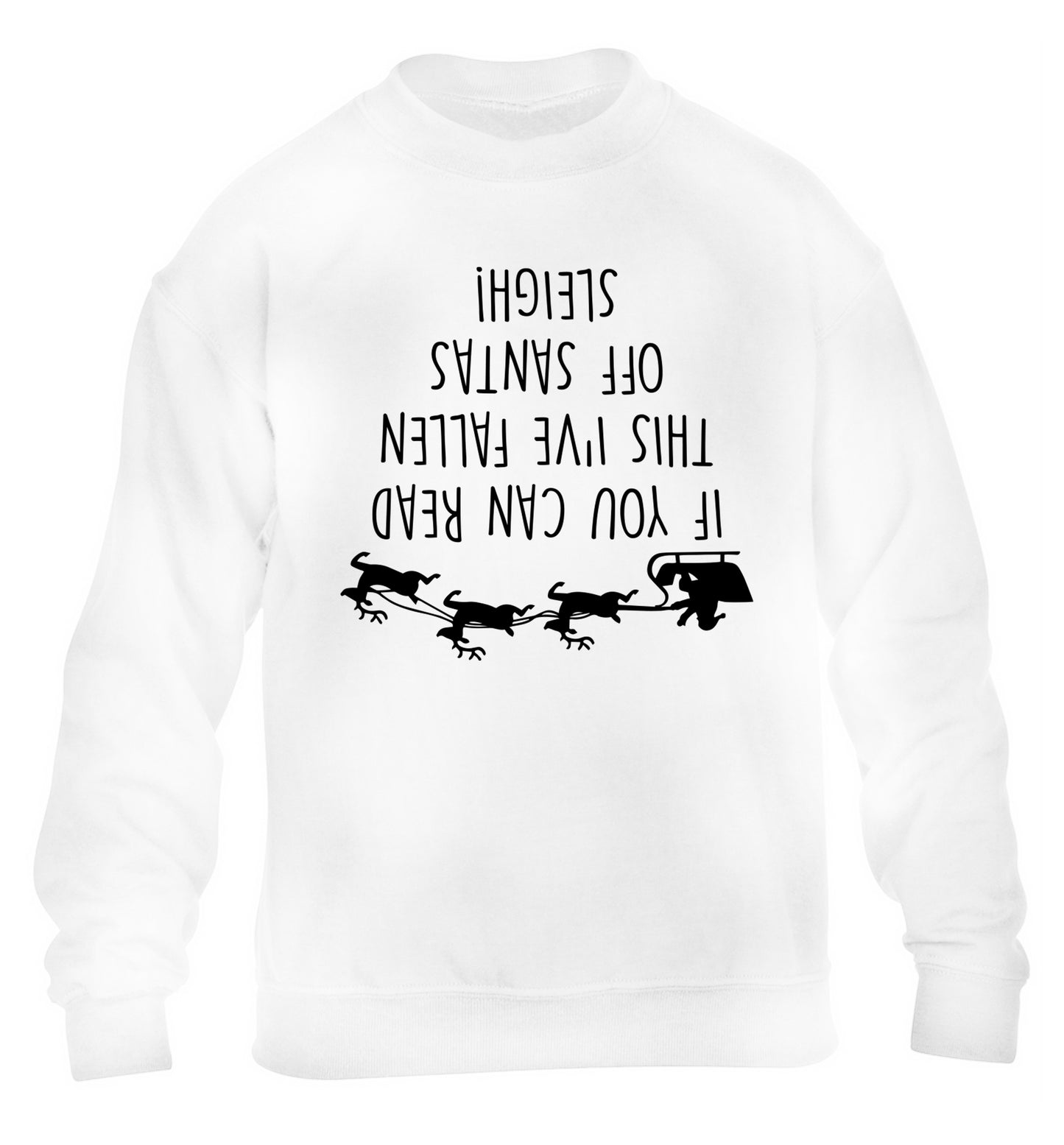 If you can read this I've fallen of santa's sleigh! children's white sweater 12-14 Years