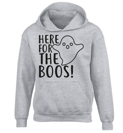 Here for the boos children's grey hoodie 12-14 Years