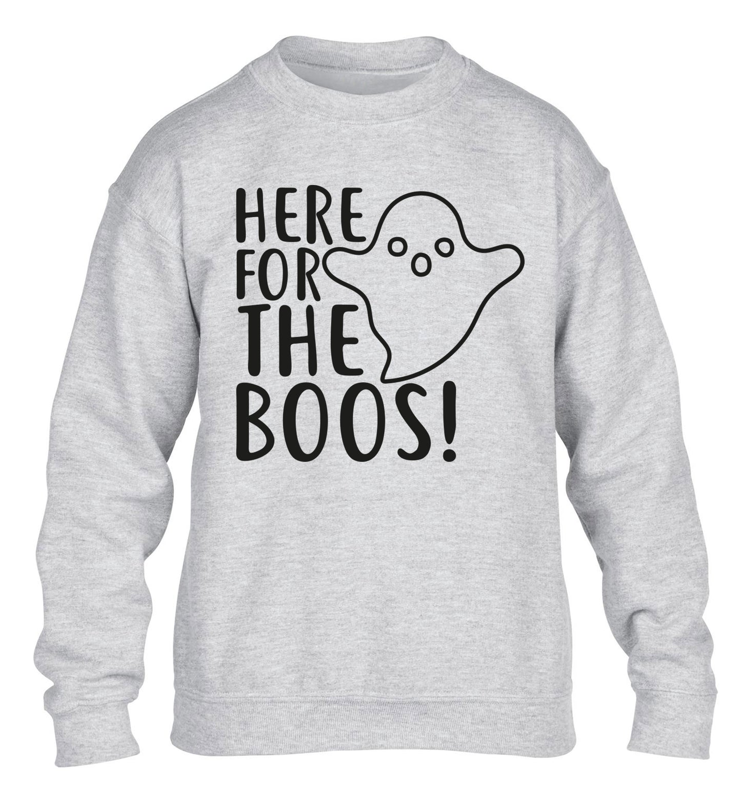 Here for the boos children's grey sweater 12-14 Years