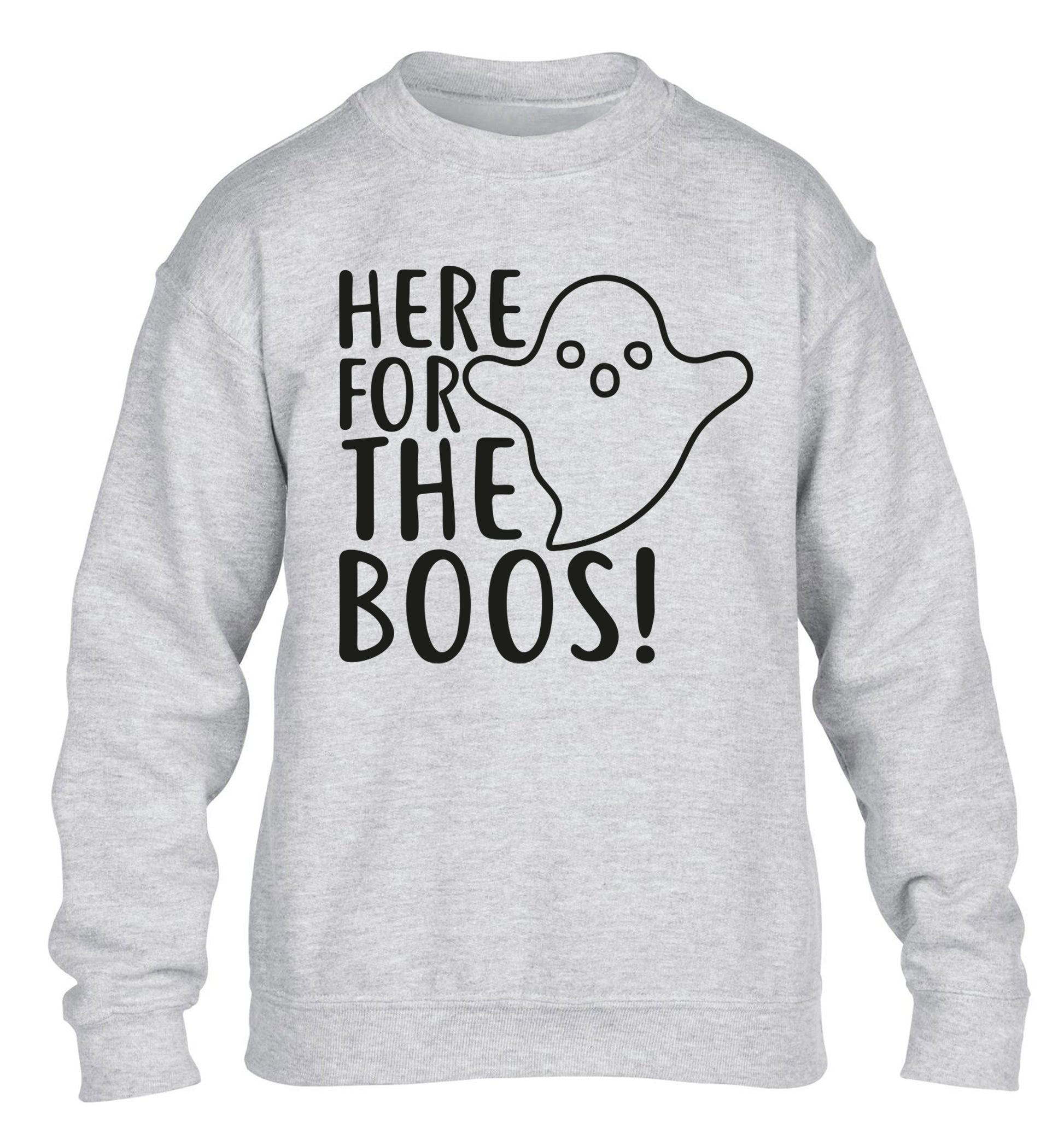 Here for the boos children's grey sweater 12-14 Years
