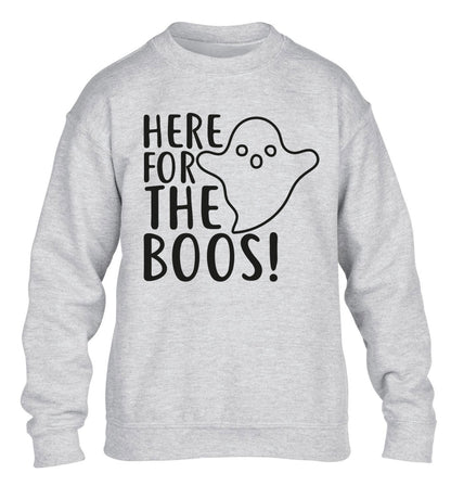 Here for the boos children's grey sweater 12-14 Years