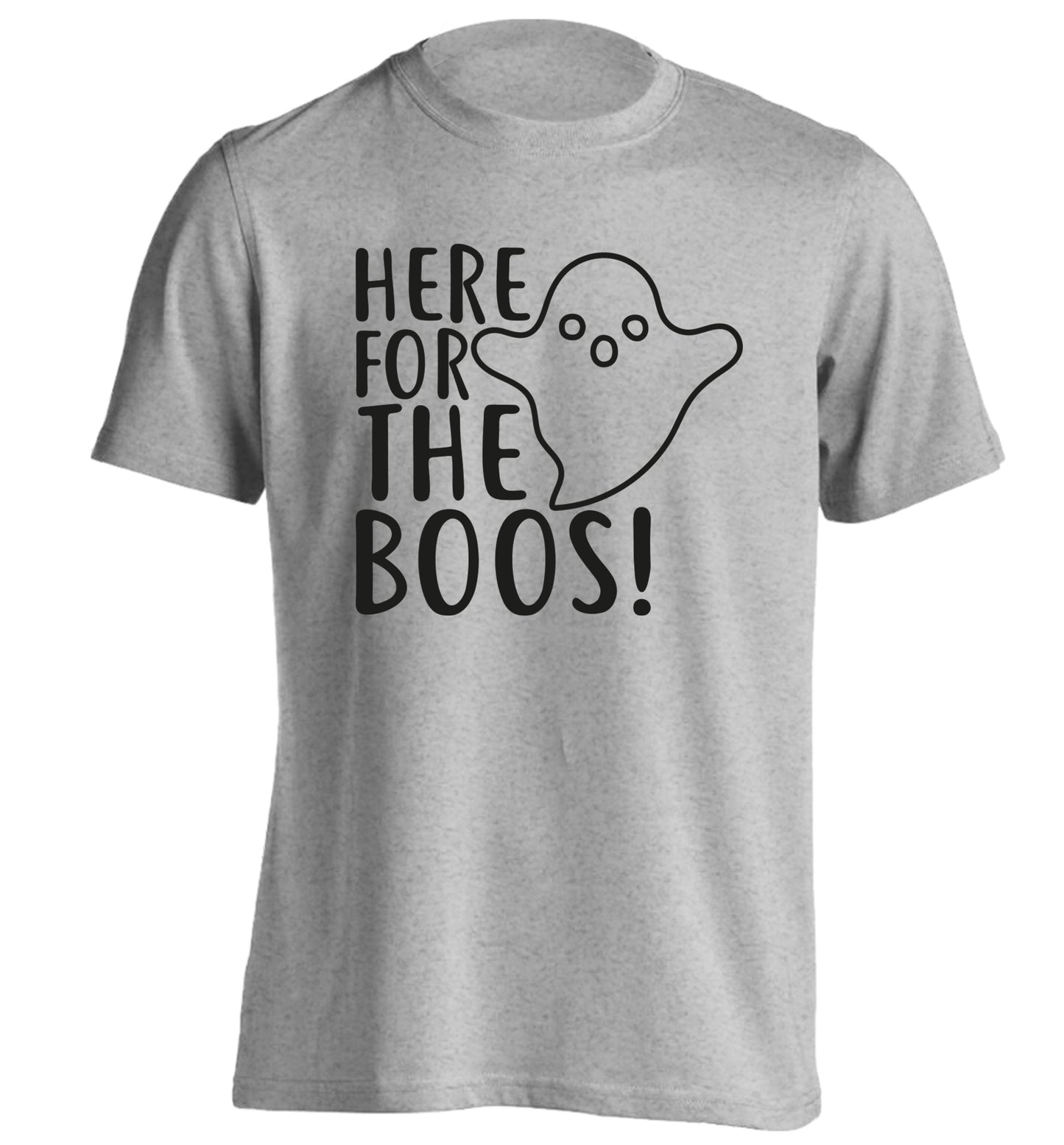 Here for the boos adults unisex grey Tshirt 2XL