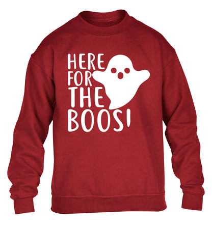 Here for the boos children's grey sweater 12-14 Years