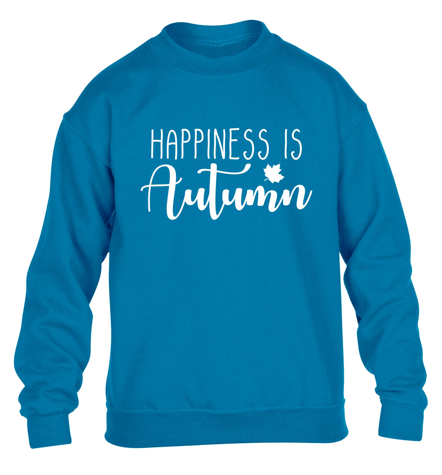 Happiness is autumn children's blue sweater 12-14 Years