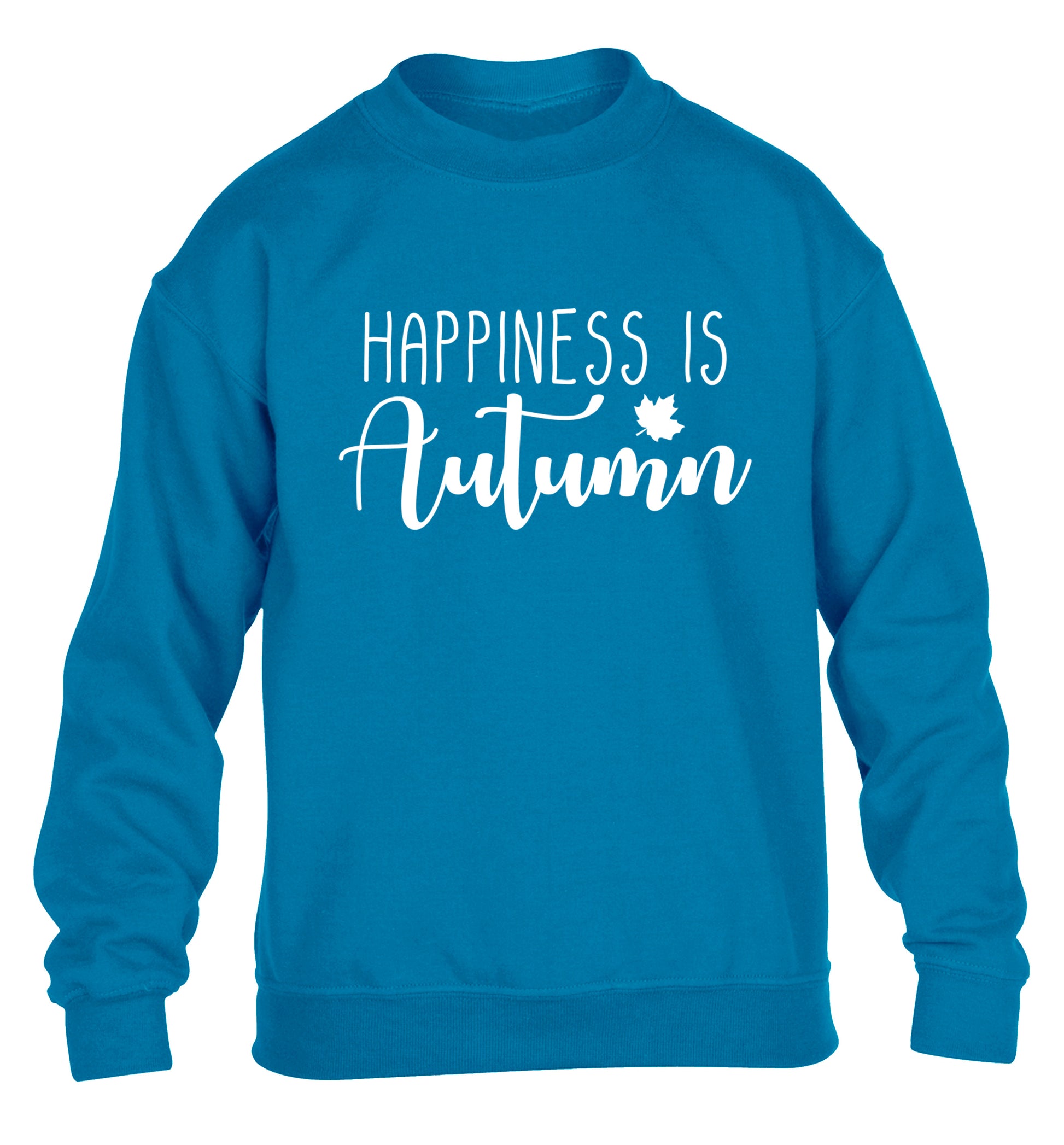 Happiness is autumn children's blue sweater 12-14 Years