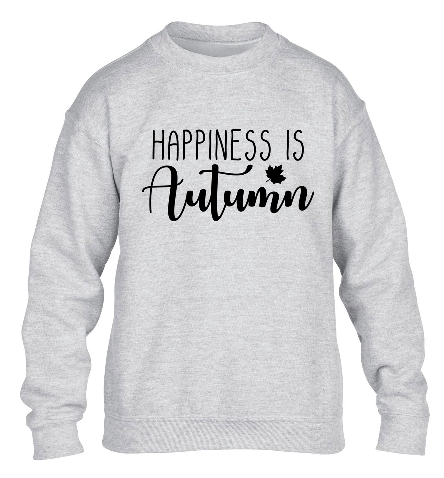Happiness is autumn children's grey sweater 12-14 Years