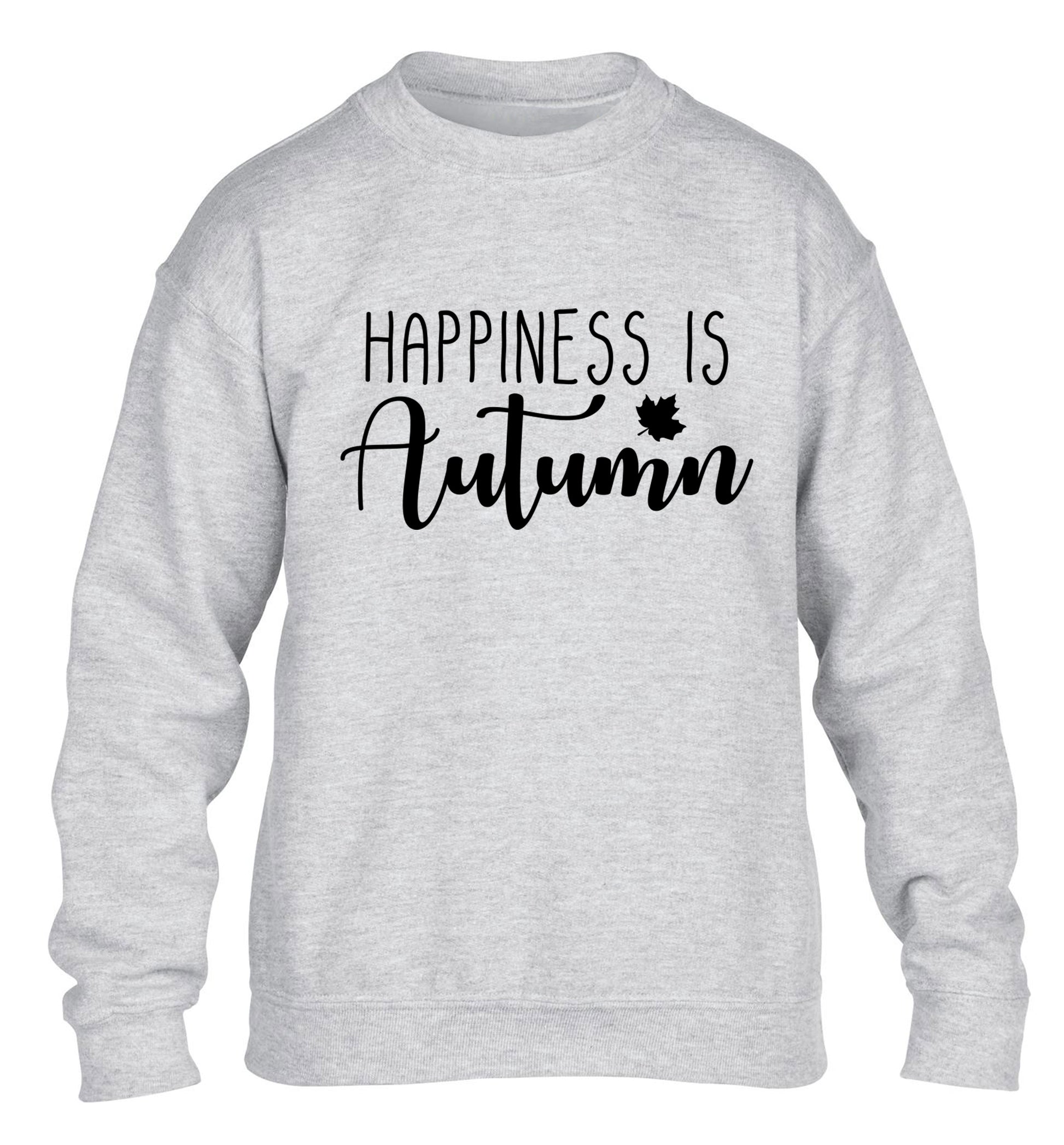 Happiness is autumn children's grey sweater 12-14 Years