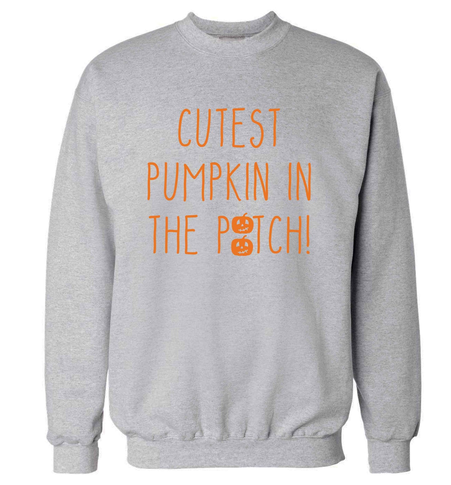Calm Pumpkin Season adult's unisex grey sweater 2XL