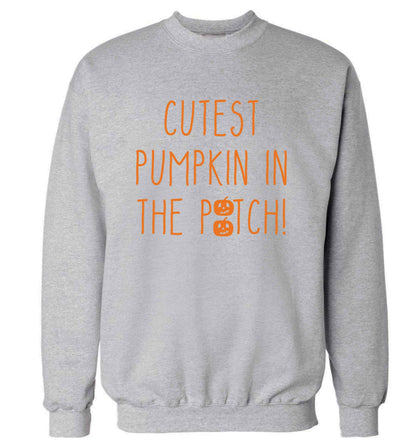 Calm Pumpkin Season adult's unisex grey sweater 2XL