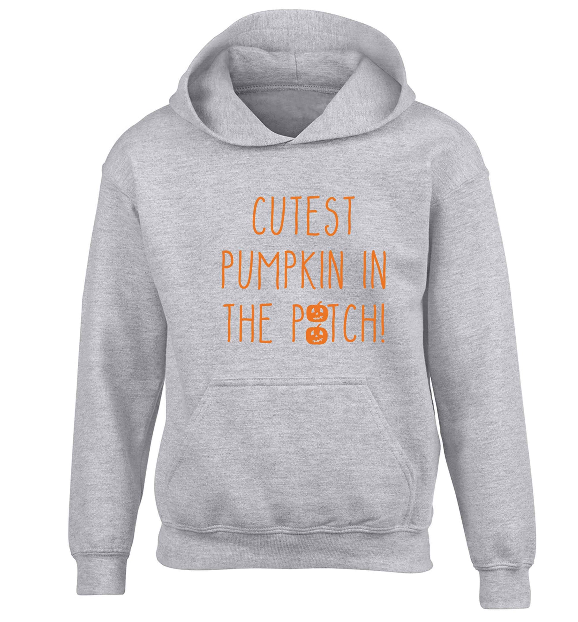 Calm Pumpkin Season children's grey hoodie 12-13 Years