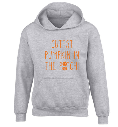 Calm Pumpkin Season children's grey hoodie 12-13 Years