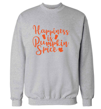 Happiness Pumpkin Spice adult's unisex grey sweater 2XL