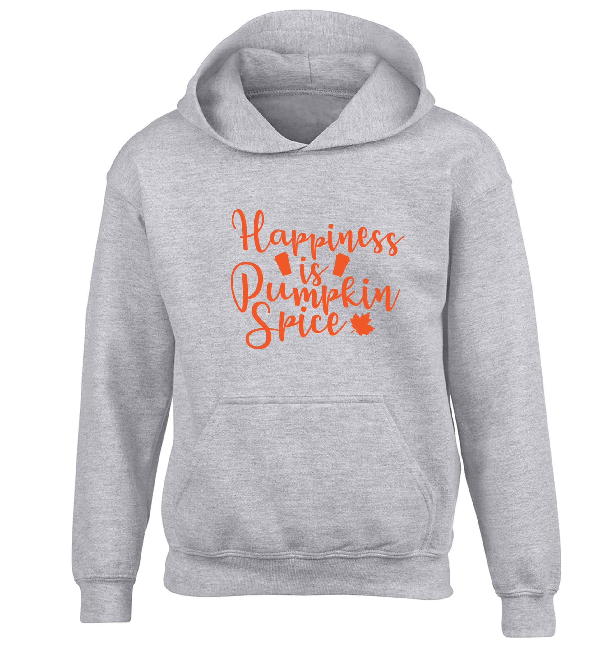 Happiness Pumpkin Spice children's grey hoodie 12-13 Years