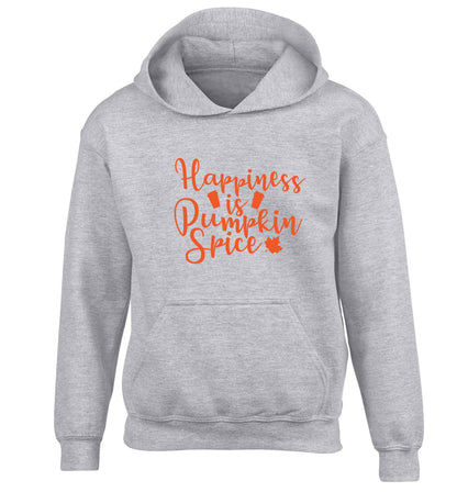 Happiness Pumpkin Spice children's grey hoodie 12-13 Years