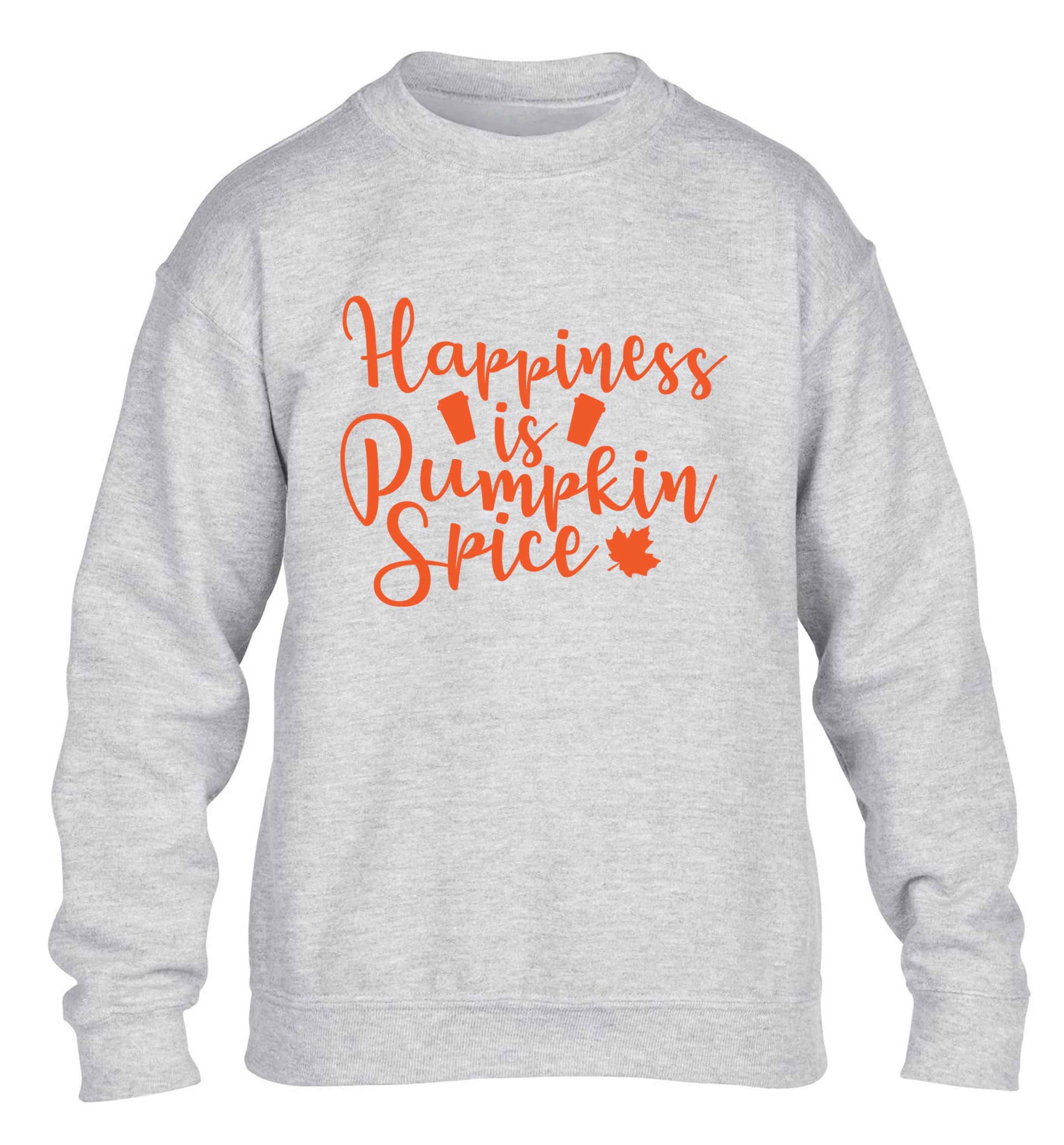 Happiness Pumpkin Spice children's grey sweater 12-13 Years