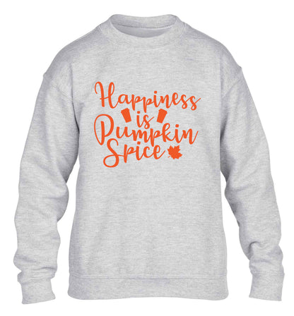 Happiness Pumpkin Spice children's grey sweater 12-13 Years