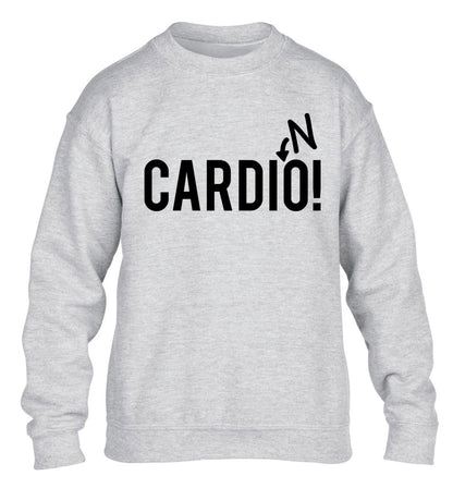 Cardino children's grey sweater 12-14 Years