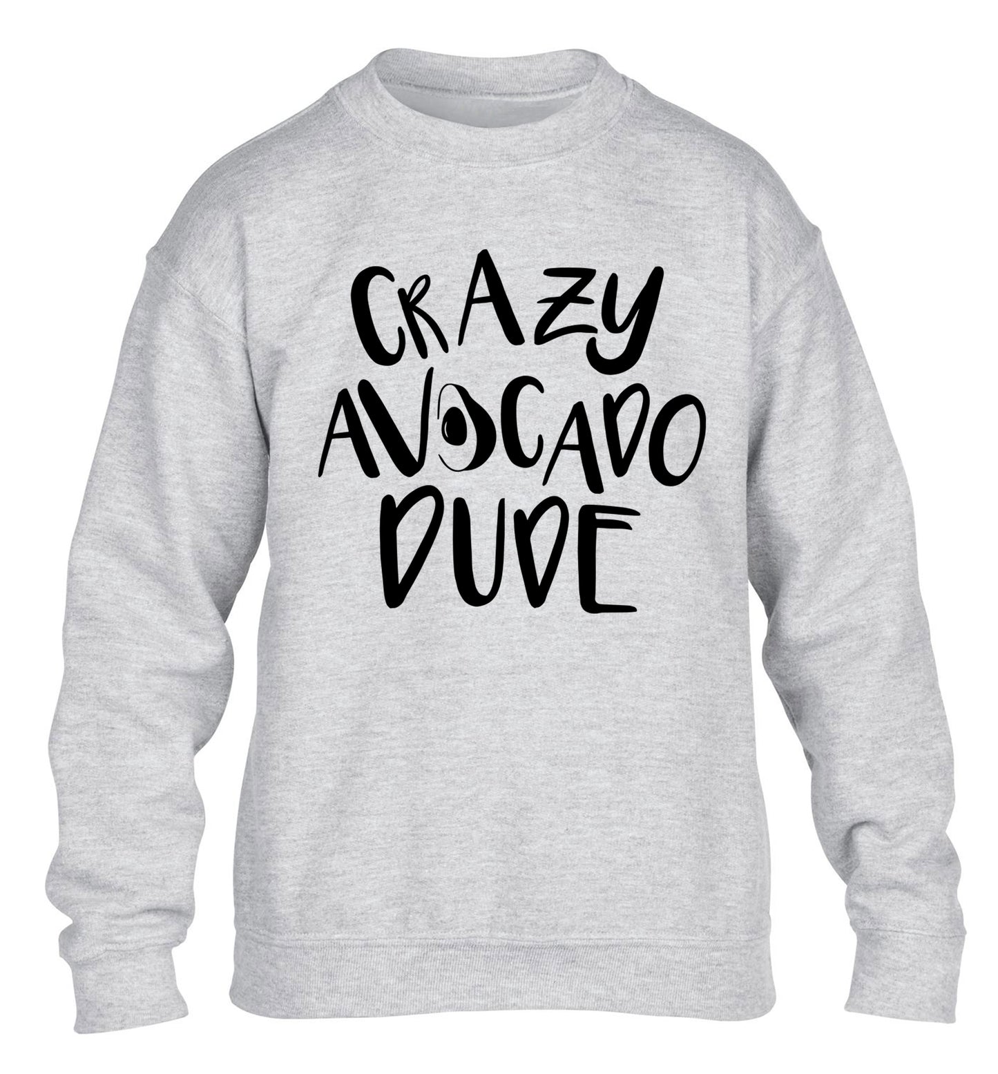 Crazy avocado dude children's grey sweater 12-14 Years