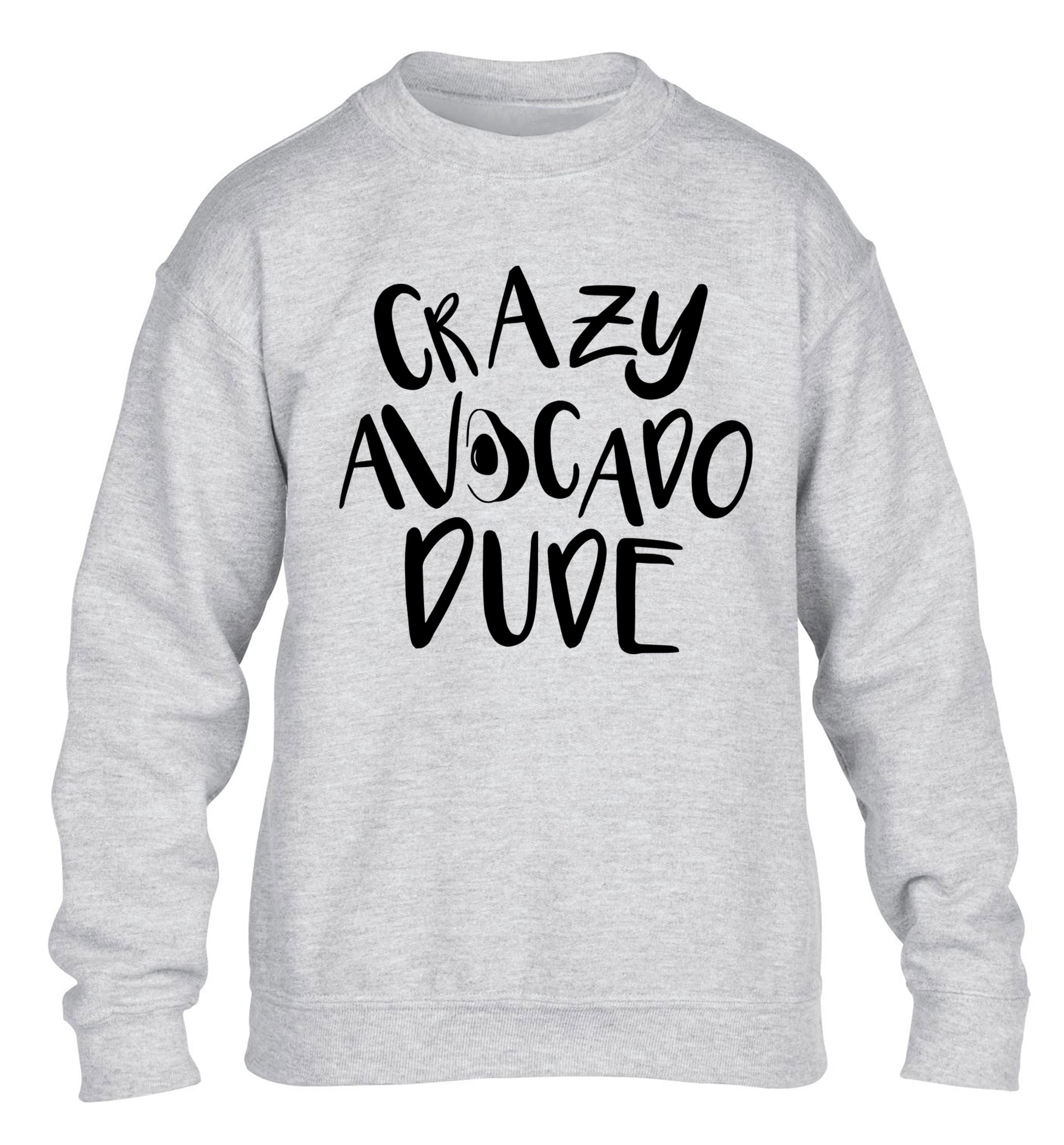 Crazy avocado dude children's grey sweater 12-14 Years