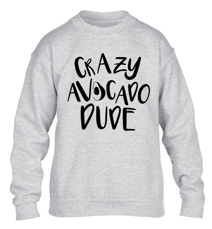 Crazy avocado dude children's grey sweater 12-14 Years