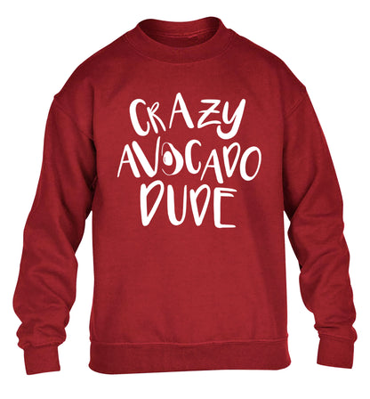 Crazy avocado dude children's grey sweater 12-14 Years